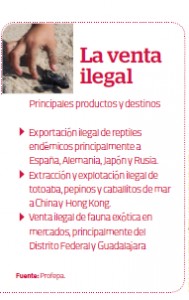 La venta ilegal