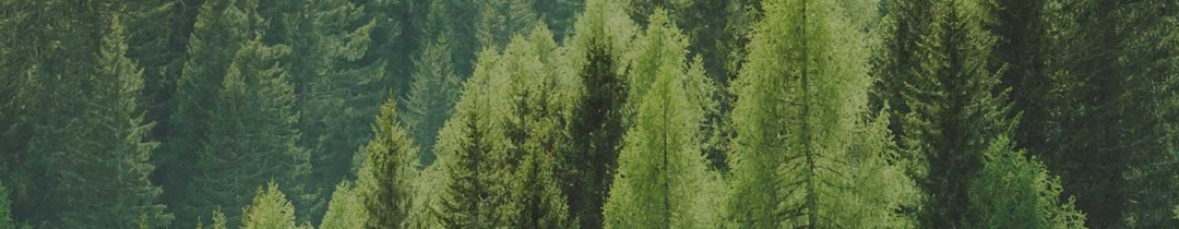 Gestión Ambiental