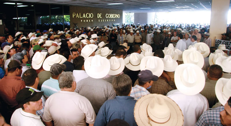 Del sufragio a la acción