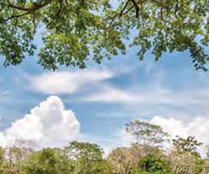 Presentan agenda para municipios biodiversos