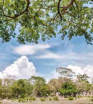 Presentan agenda para municipios biodiversos