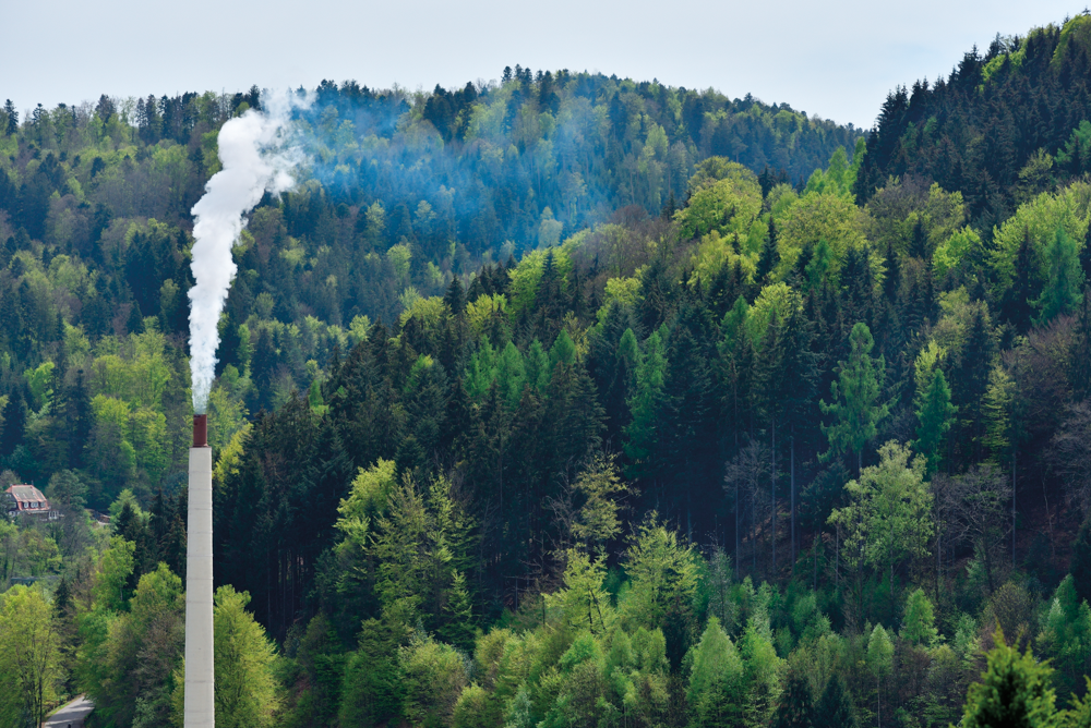 Los gobiernos locales en el mercado de bonos de carbono