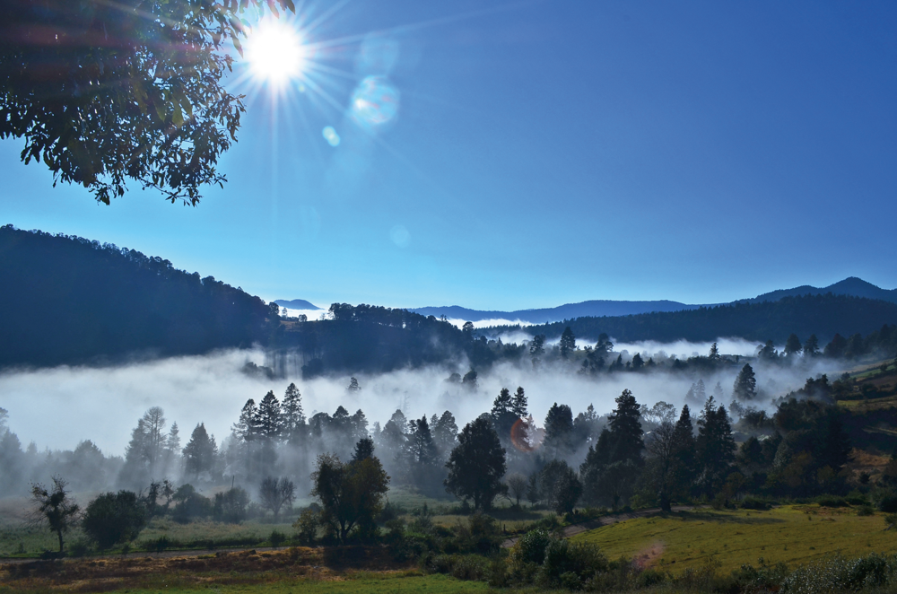 Protección de la biodiversidad para el futuro de las urbes