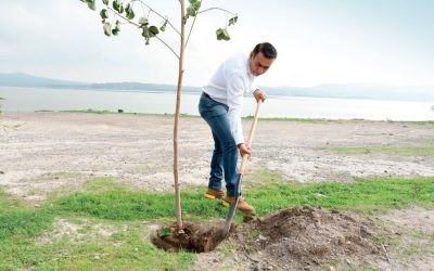 Tlajomulco plantará más de 50 mil árboles y lanzará 200 mil bombas de semillas