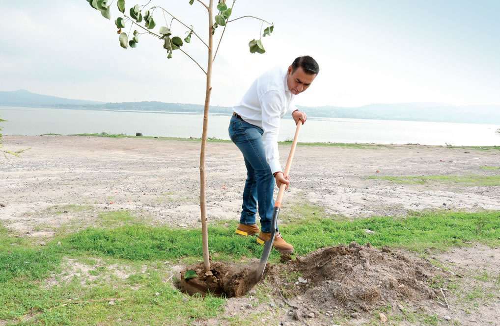 Tlajomulco plantará más de 50 mil árboles y lanzará 200 mil bombas de semillas