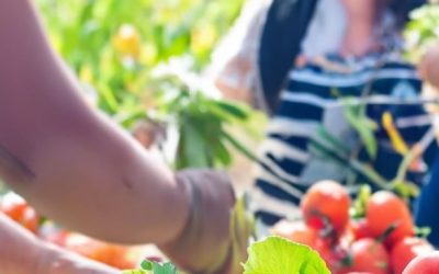 Cooperación comunitaria para elevar la nutrición