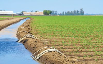 Buenas prácticas para impulsar al sector agrícola