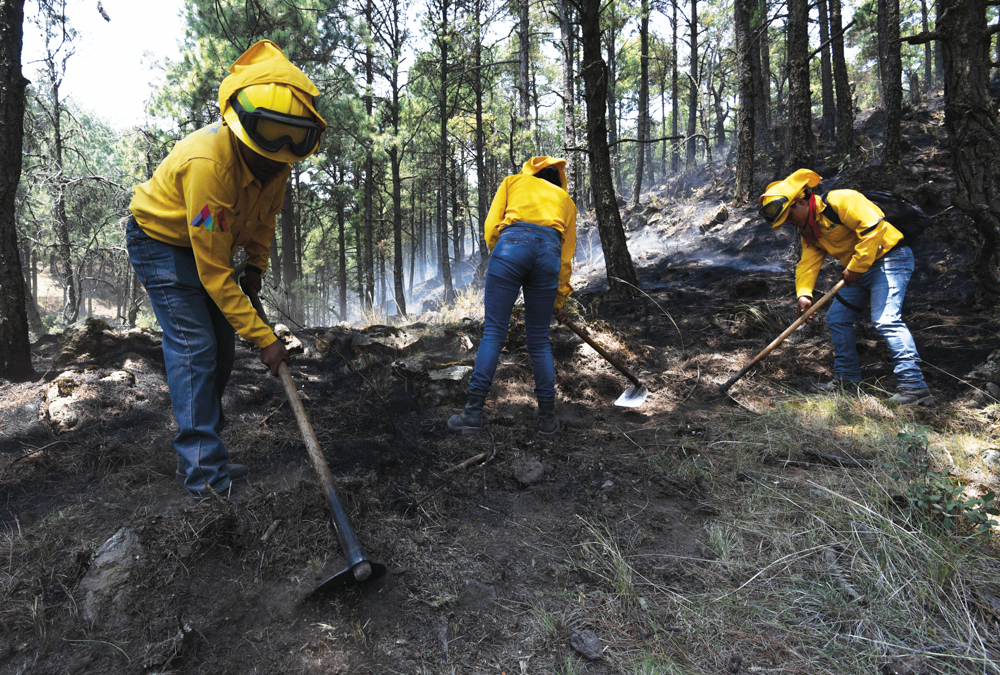 Combatir incendios forestales en una realidad compleja