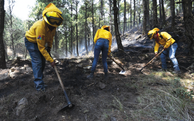 Combatir incendios forestales en una realidad compleja