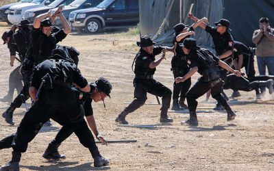 Seguridad pública profesional, pilar del bienestar social