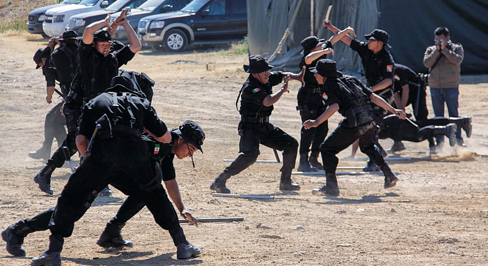 Seguridad pública profesional, pilar del bienestar social