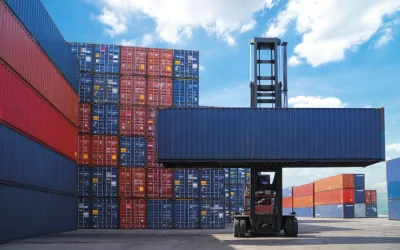 La labor local en la sustitución de importaciones