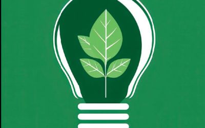 Proyecto nacional de eficiencia energénica en alumbrado público municipal