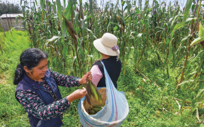 Revivir propiedad social, misión de la Procuraduría Agraria