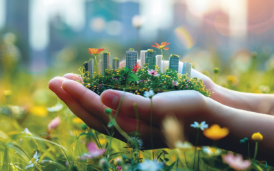 Cómo estructurar proyectos climáticos subnacionales