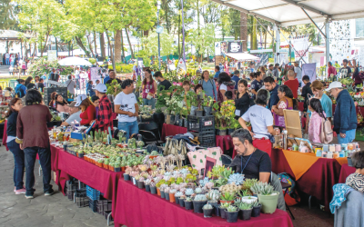 PRODUCCIÓN INTERNA FORTALECIDA