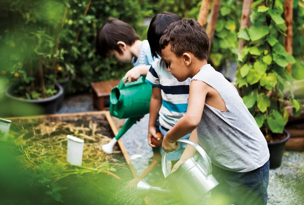 Conciencia ecológica con impulso principal