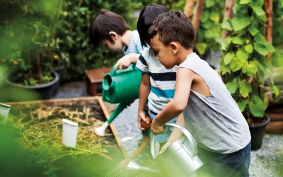 Conciencia ecológica con impulso principal