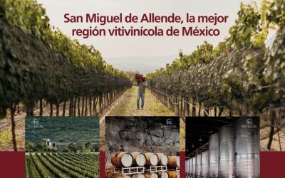 San Miguel de Allende, la mejor región vitivinícola de México