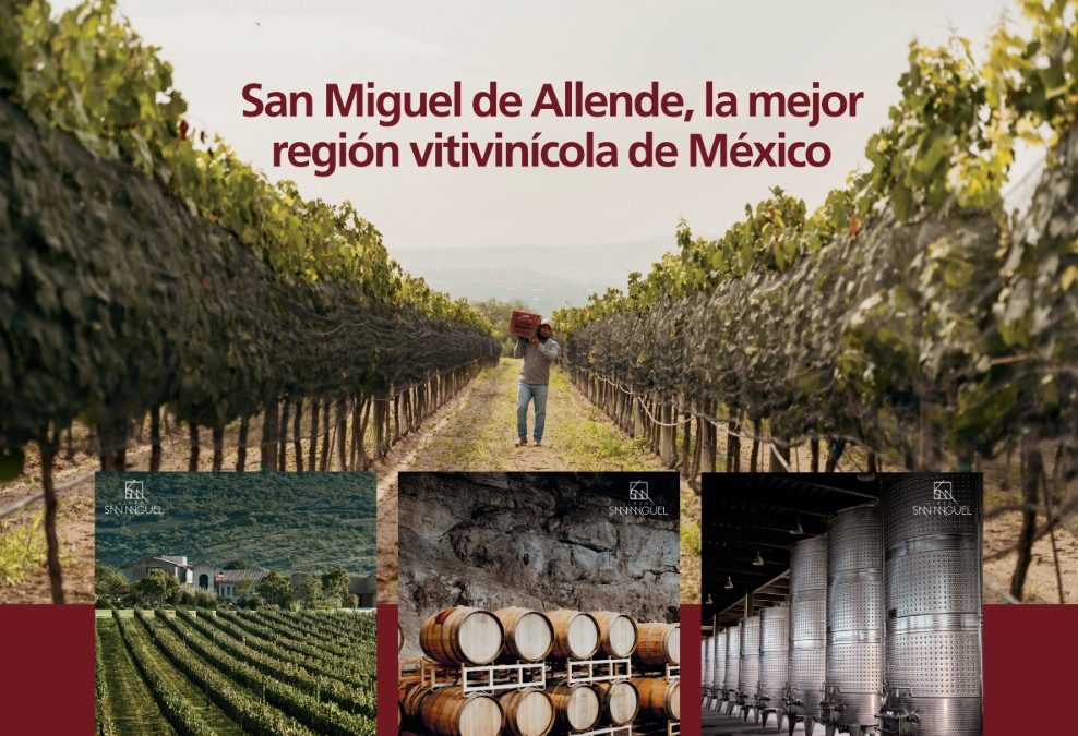 San Miguel de Allende, la mejor región vitivinícola de México