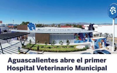 Aguascalientes abre el primer Hospital Veterinario Municipal