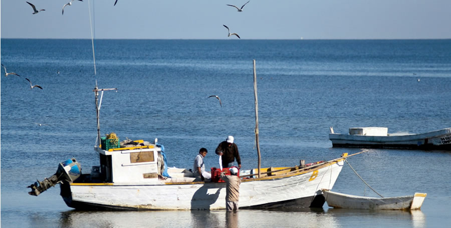 “Malas mareas” para la pesca regional.