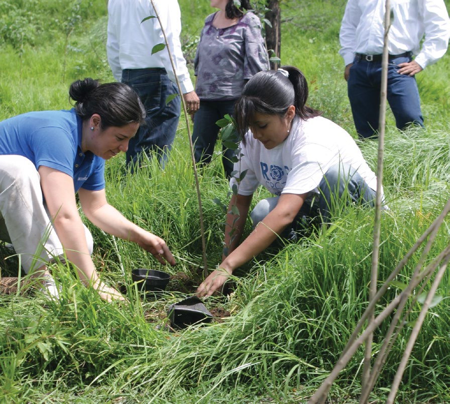 Culiacán inicia campaña de reforestación