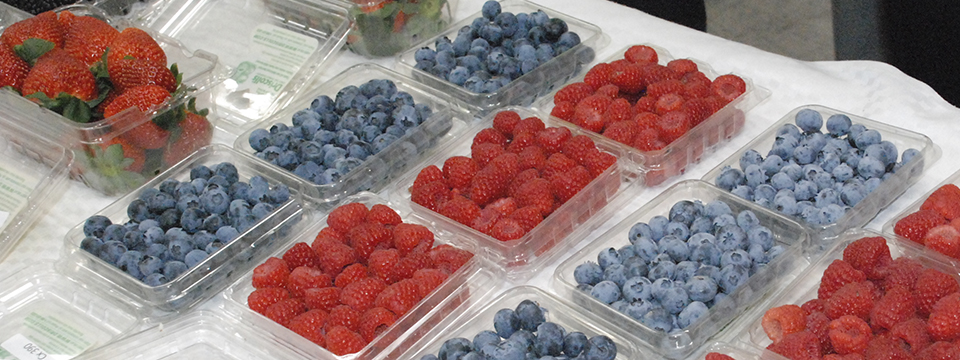 Zamora, Jacona y Los Reyes exportan berries a China y E.U.