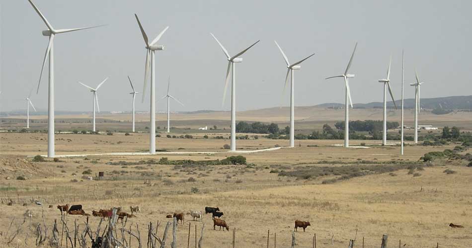 Oaxaca produce el 90% de energía eólica del país