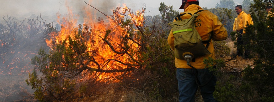 Combate a incendios forestales garantizado pese a recorte: Semarnat