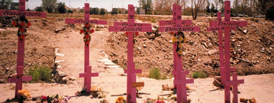 En México se cometen siete feminicidios cada día: expertos