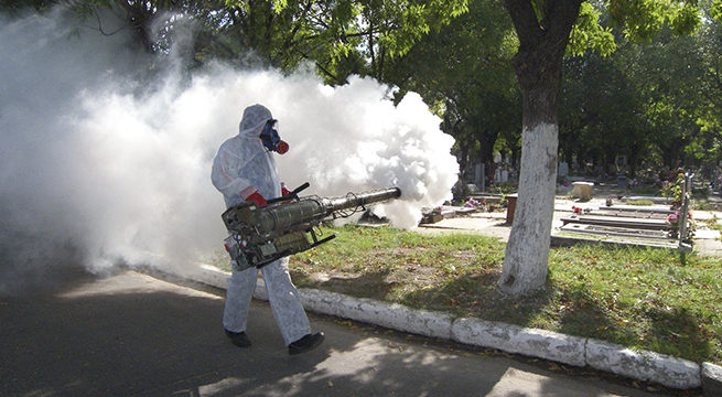 El chikungunya se ha extendido a la mitad del país