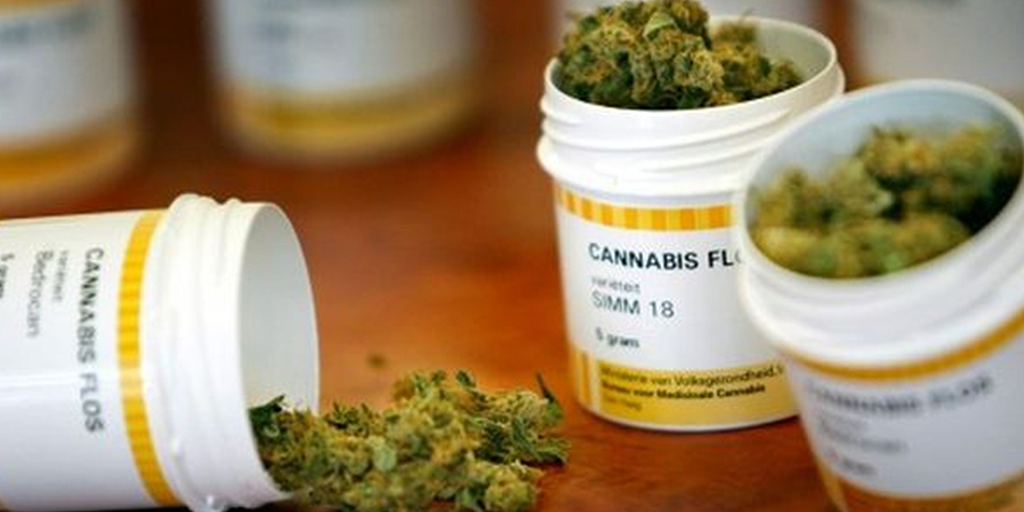 Ocho de cada diez a favor de la regulación de la marihuana con fines medicinales