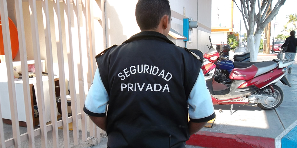 Seguridad pública en el Valle de México: retos para su privatización