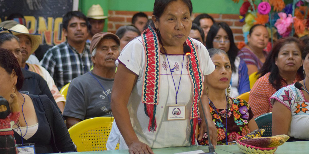 Pueblos indígenas eligen a su candidata presidencial para 2018