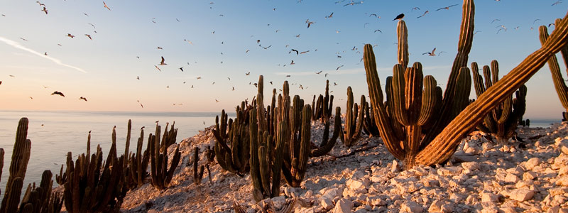 Mexico podría perder 4.3% de su Zona Económica Exclusiva por Cambio Climático