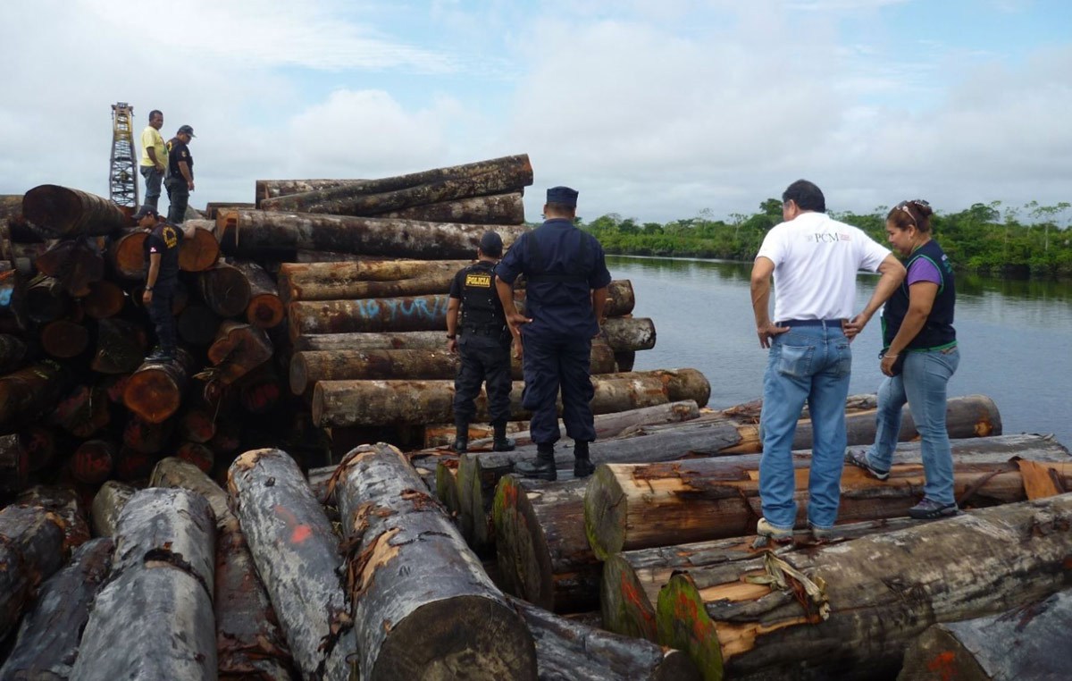 Al menos 70 por ciento de la madera que se consume en México es ilegal