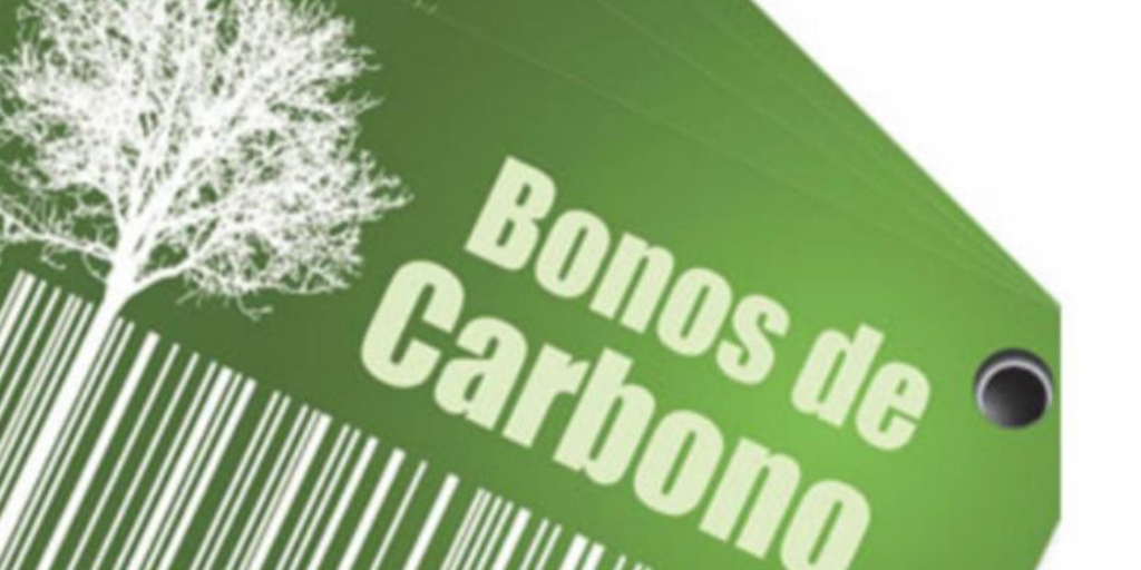 La CDMX lanza el primer bono de carbono forestal al mercado financiero