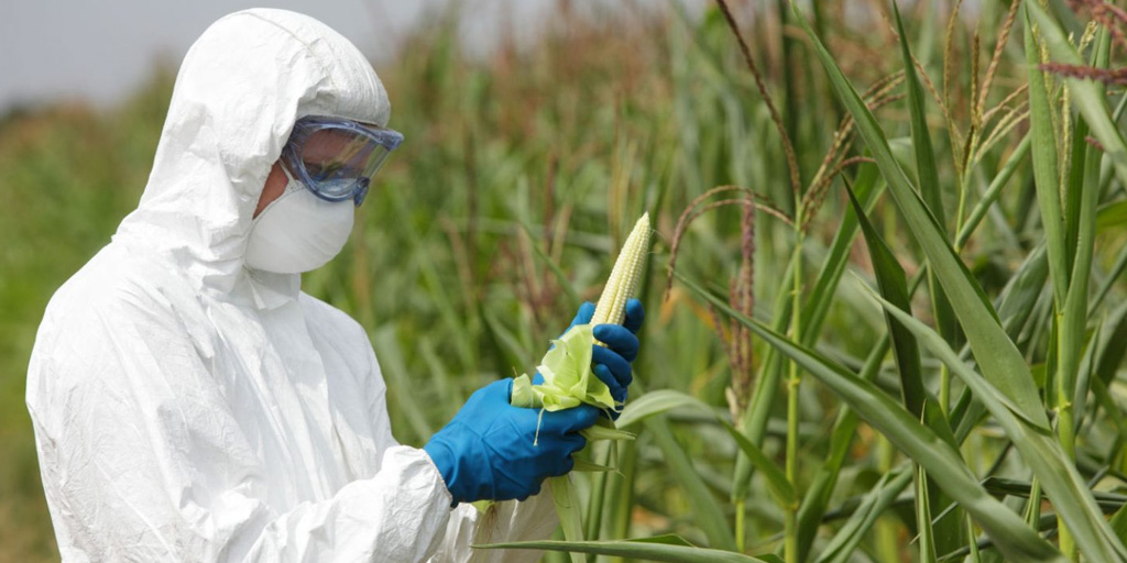 México entre los países con manejo responsable de biotecnología agrícola