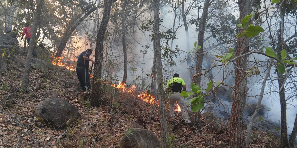 Autoridades municipales de Guerrero reciben adiestramiento contra incendios forestales