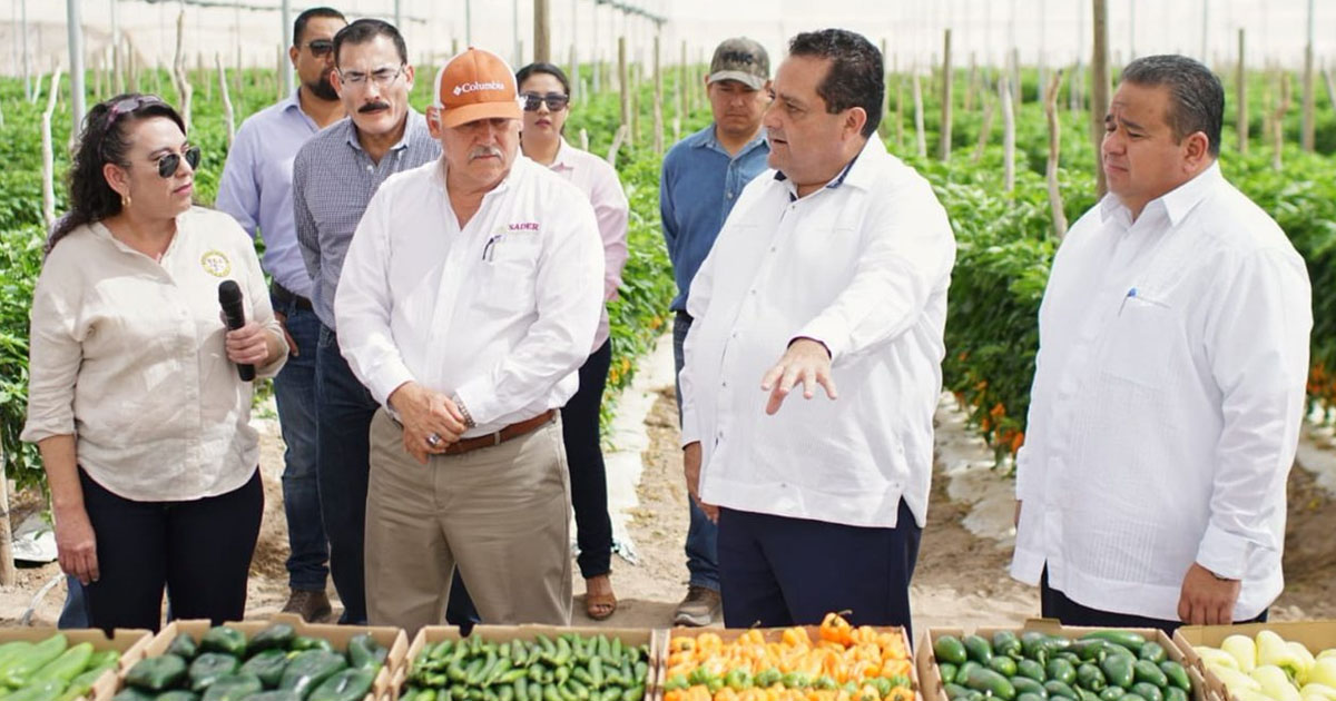 Comercio agroalimentario mexicano creció 46% en 2019
