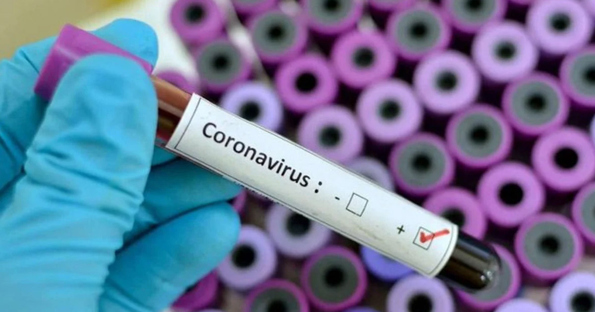 México, sin especialistas en coronavirus: Academia Mexicana de Ciencias