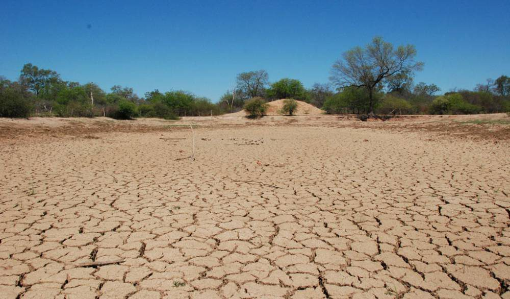 SADER inicia proyecto en Zacatecas y SLP para el desarrollo productivo de regiones áridas