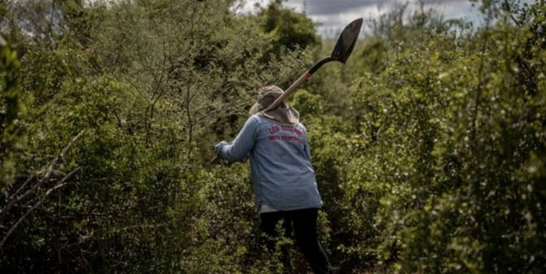 Gobernanza ambiental debe proteger a defensores del medio ambiente: Semarnat