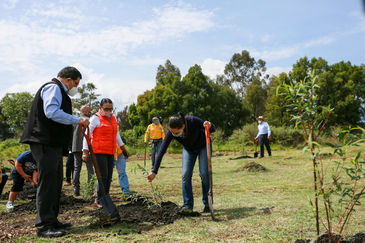 Realizan inversión histórica de 604 mdp para el rescate natural y cultural de Xochimilco