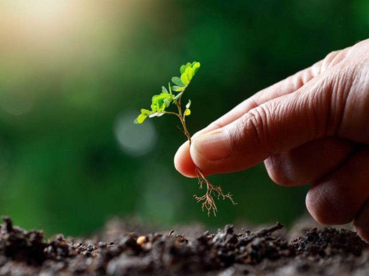 México promueve sistemas sustentables agrícolas para combatir el cambio climático