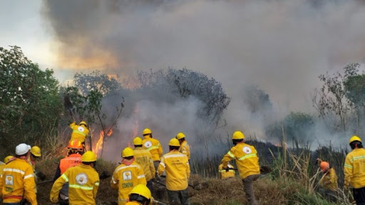 Conafor advierte sobre temporada crítica de incendios forestales en México