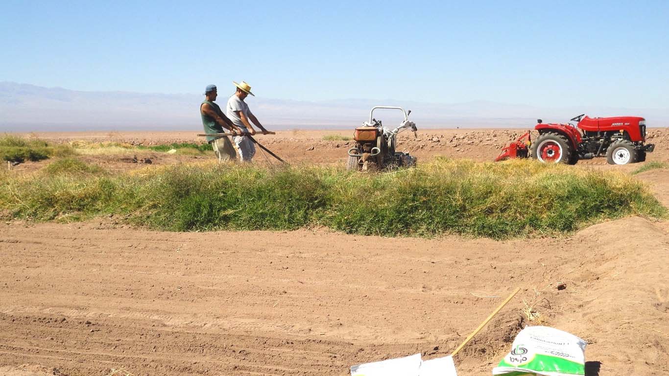 Prácticas sustentables para mejorar la producción agropecuaria en zonas áridas