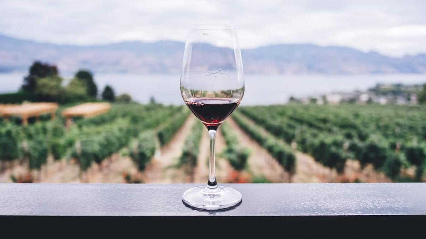México será sede del 43 Congreso Internacional de la Viña y el Vino