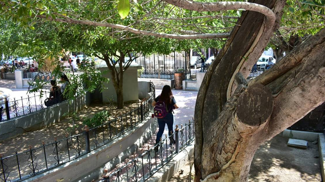 Ayuntamientos, calles e infraestructura verde contra el cambio climático
